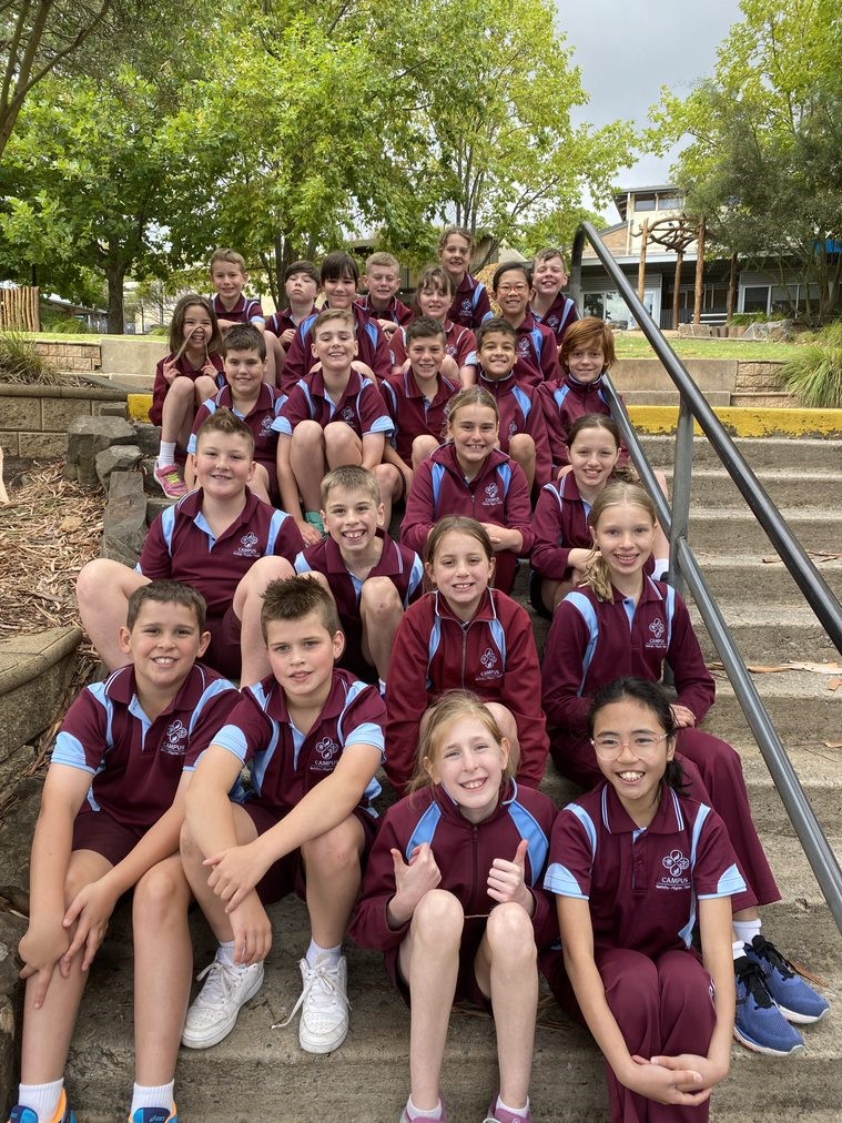 News from the 5/6 Classes