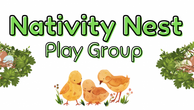 Nativity Nest Website