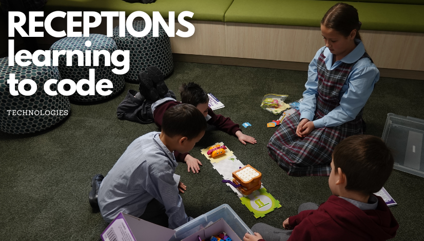 Receptions Learning to Code