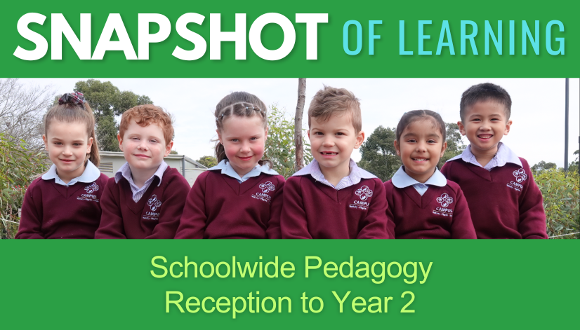 SNAPSHOT OF LEARNING – Schoolwide Pedagogy Reception to Year 2