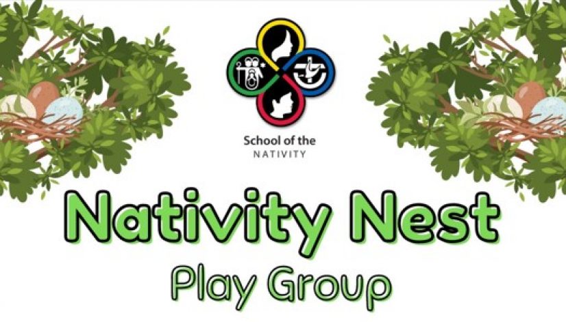 Nativity Nest cover photo