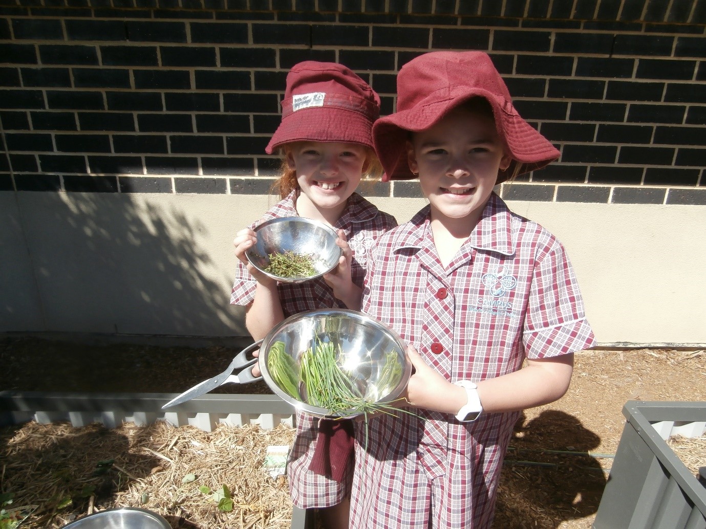 Kitchen Garden