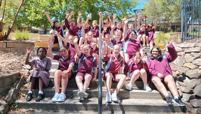 5/6 HB Newsletter Wk 2 Term 4